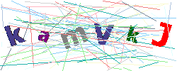 This image contains several characters that you need to enter in order to proceed
